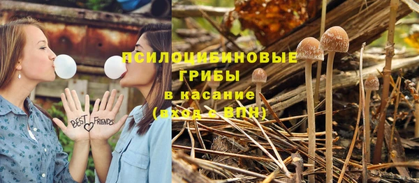 jwh Касимов