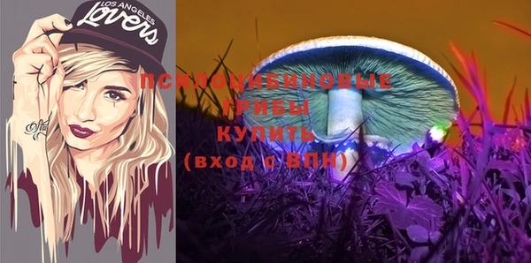 скорость Карталы