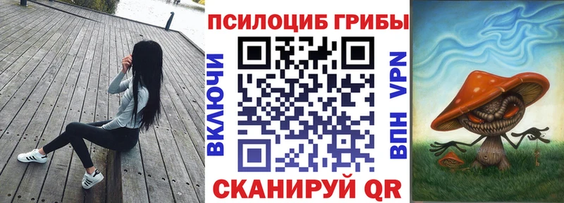 Купить  Москва  Галлюциногенные грибы прущие грибы 